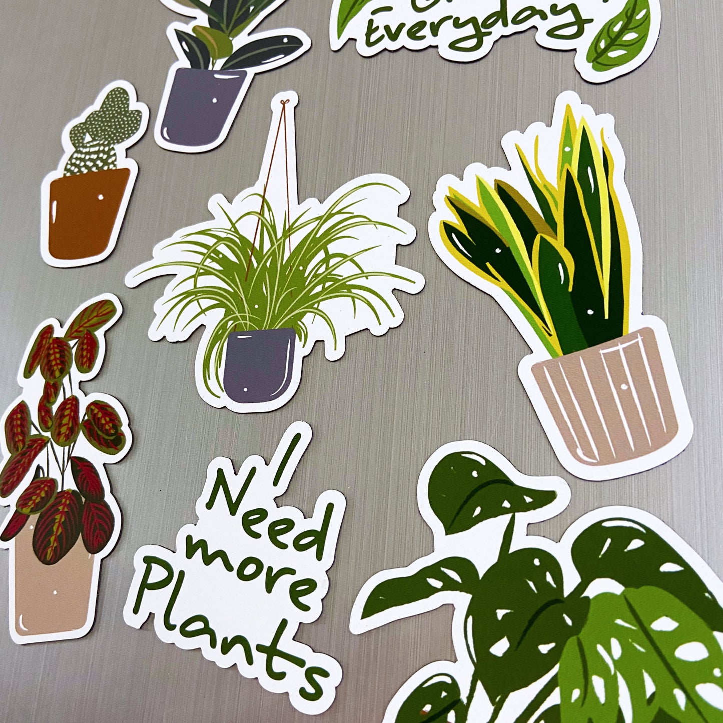 Sample Sale House Plant Magnet Set