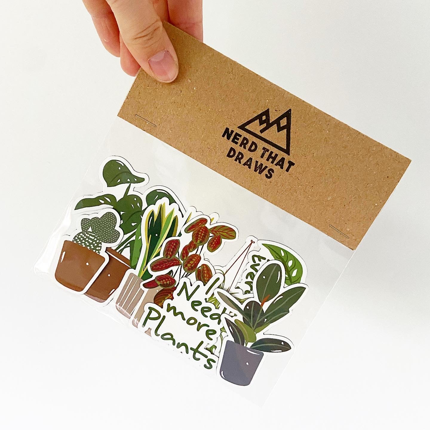 Sample Sale House Plant Magnet Set